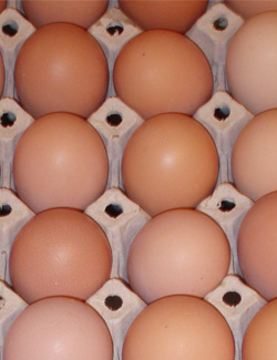 Æg i æggebakke